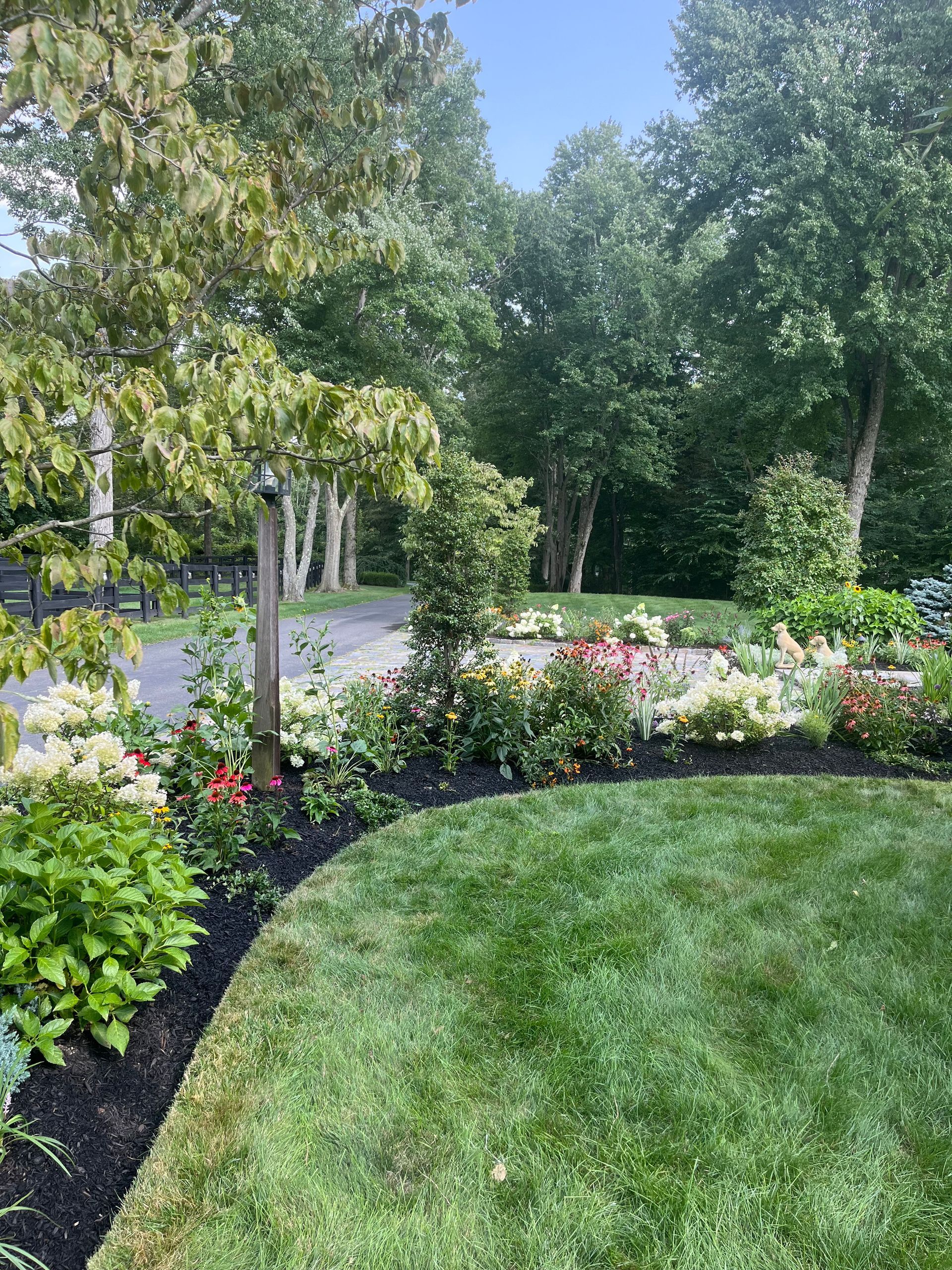 A lush green lawn surrounded by trees and bushes on a sunny day.