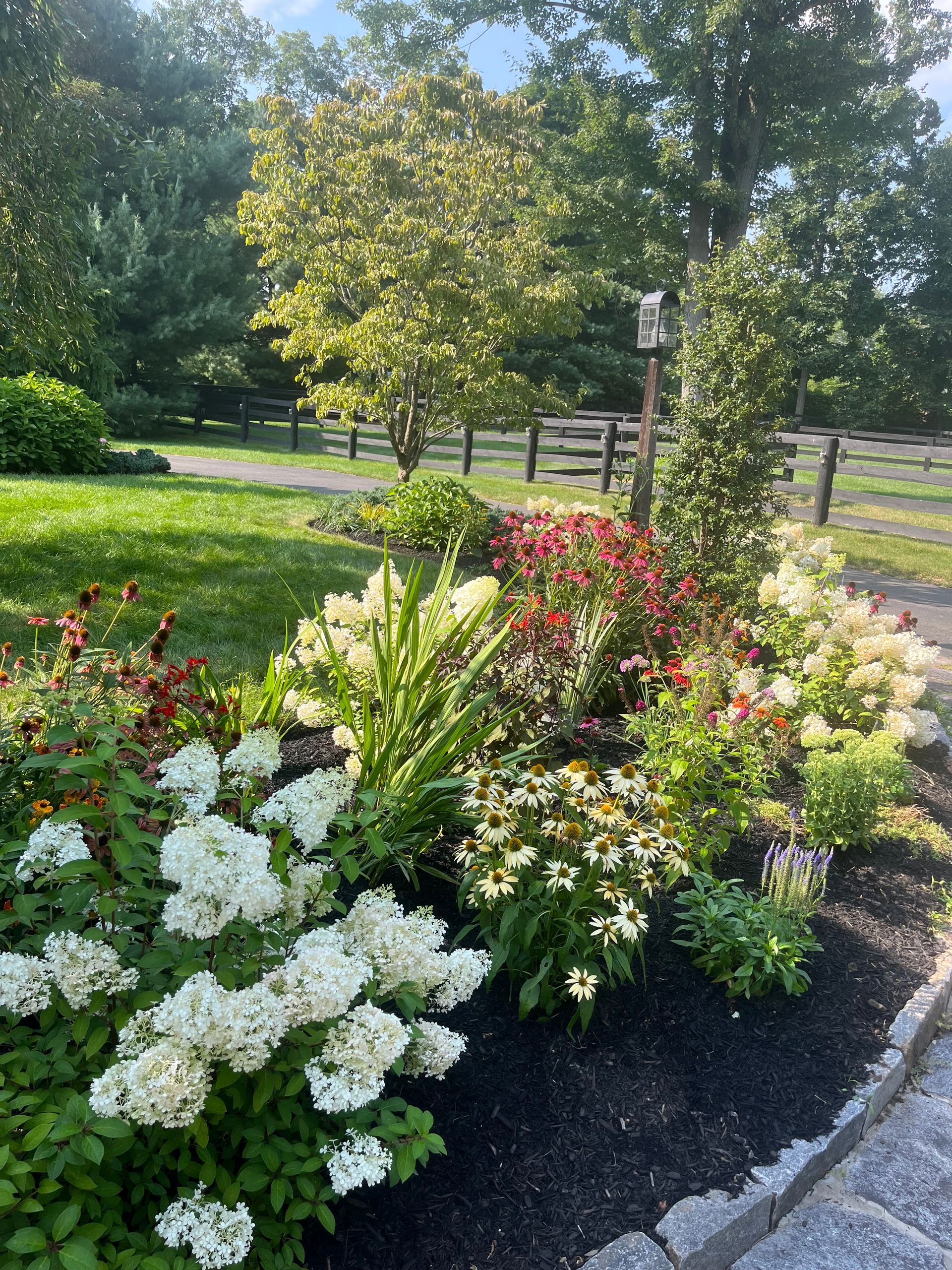 There are many different types of flowers in the garden.