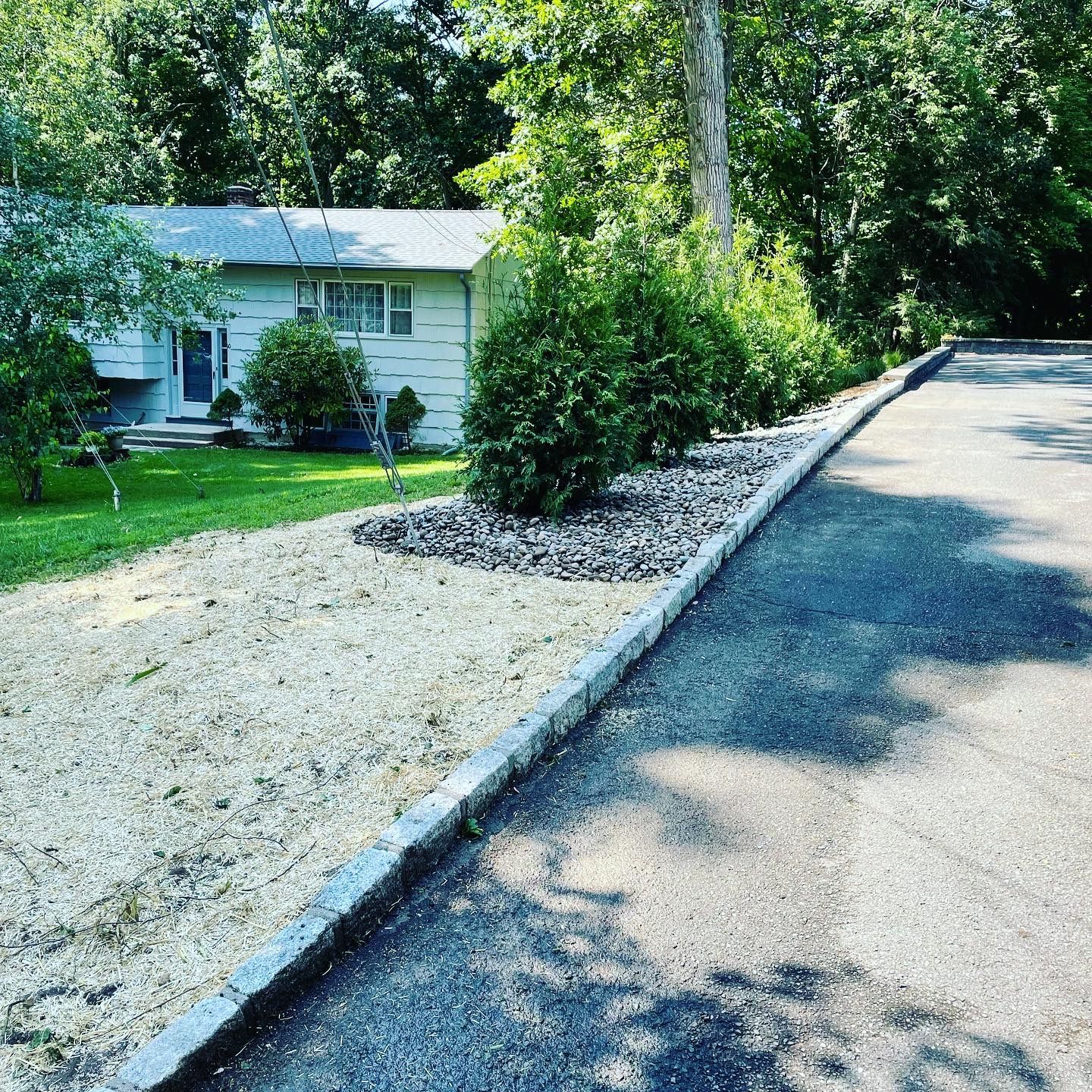 A driveway leading to a house surrounded by trees