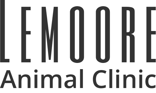 Lemoore Animal Clinic - Logo