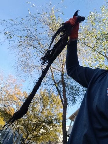 Person holding a long, dark, muddy object against a blue sky, trees in background.