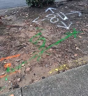Dirt patch marked with paint and arrows, indicating underground utilities; sidewalk edge visible.