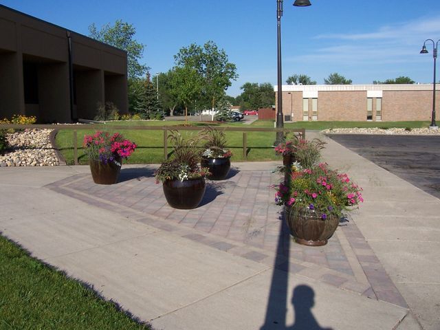 A row of potted plants on a sidewalk in front of a building