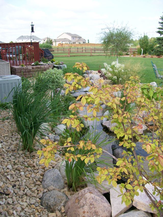 A stream running through a backyard surrounded by rocks and plants.