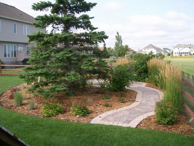 A walkway in a backyard with a tree in the middle