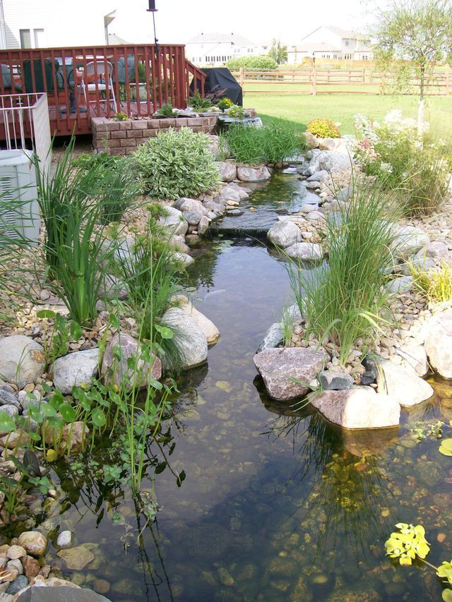 A pond surrounded by rocks and plants with a deck in the background