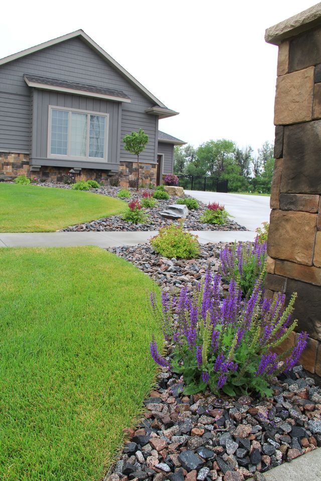 A house with a lush green lawn and purple flowers in front of it.
