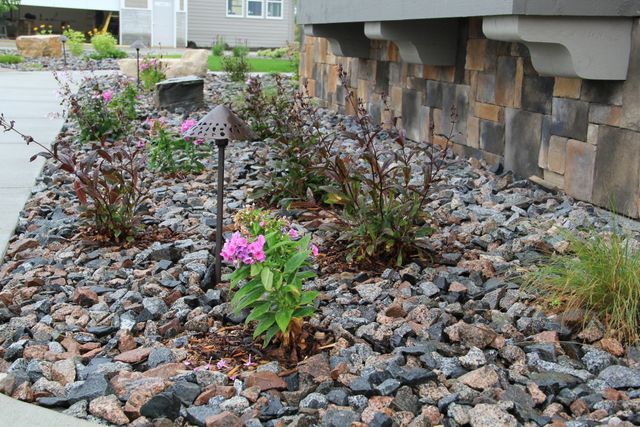 A garden with rocks and flowers in front of a house.