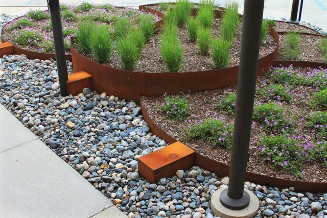 A garden with a lot of rocks and plants in it