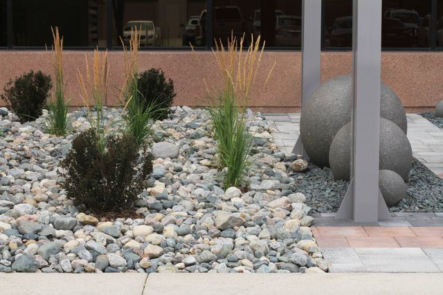 A garden with rocks and plants in front of a building