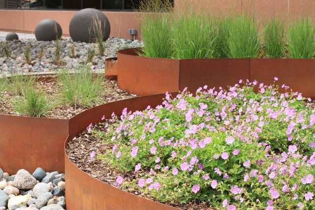 A row of planters filled with purple flowers and greenery.
