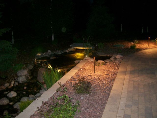 A path leading to a pond is lit up at night.