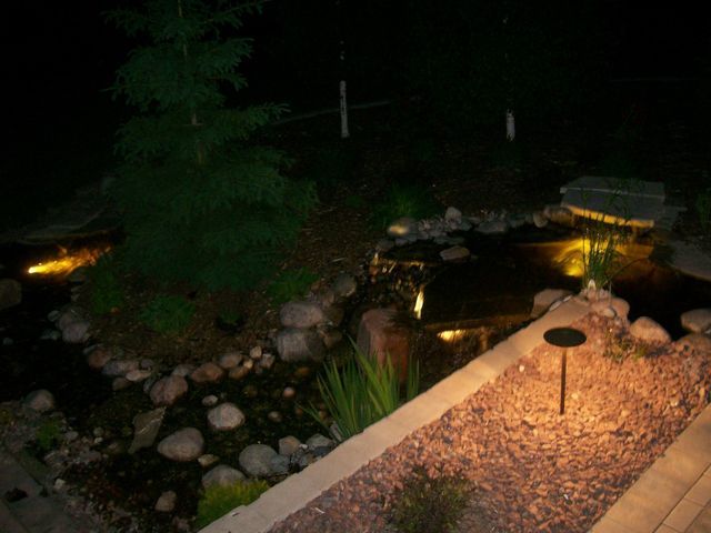 A pond is lit up at night in a backyard.