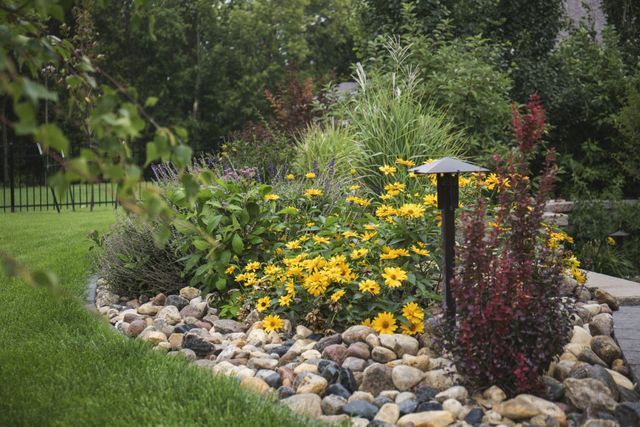 A garden filled with lots of flowers and rocks.