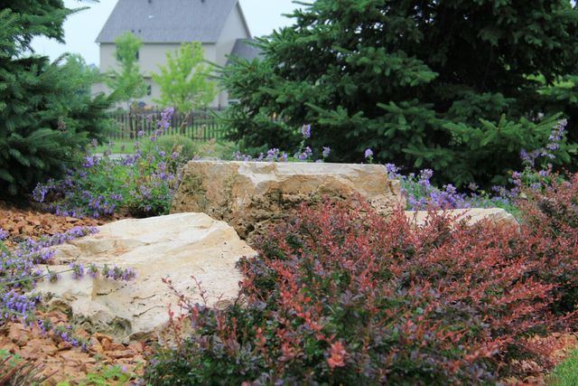 A garden with a large rock in the middle of it and a house in the background.