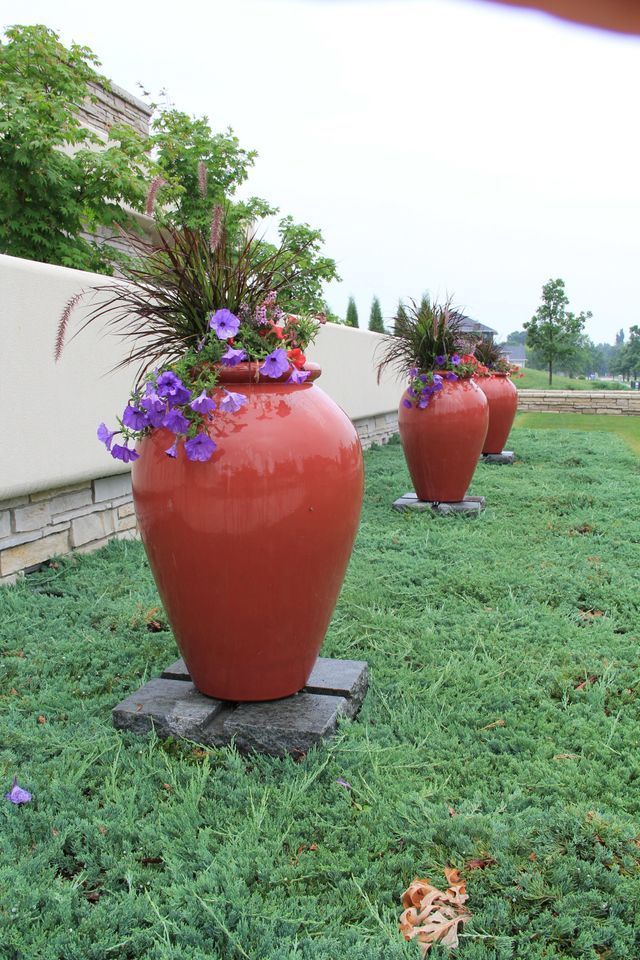 A row of red vases filled with purple flowers are sitting in a grassy area.