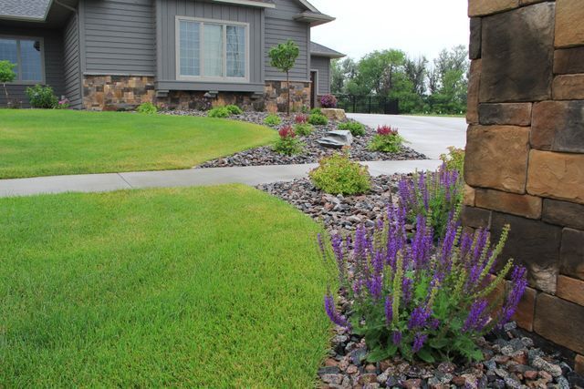 A house with a lush green lawn and purple flowers in front of it.