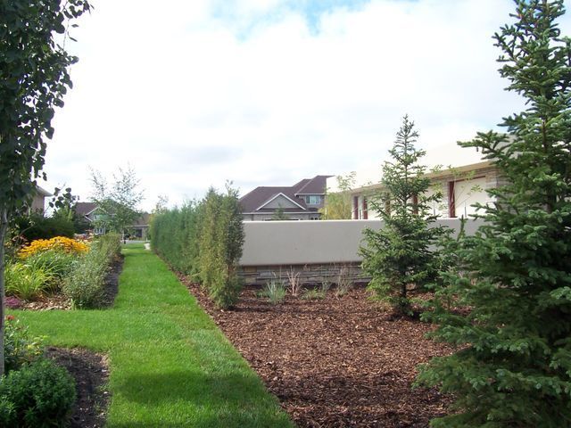 A lush green yard with trees and a house in the background