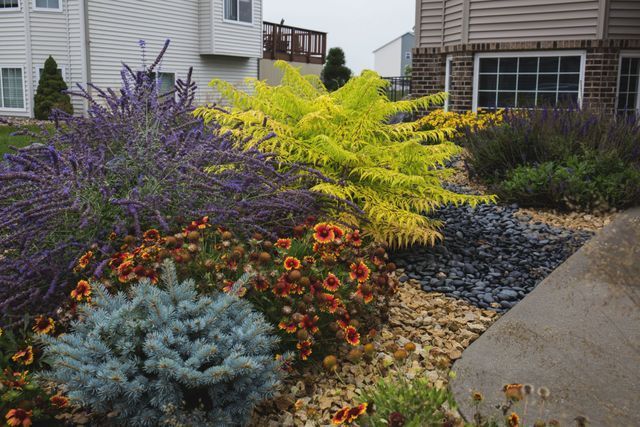 A garden with lots of flowers and plants in front of a house.