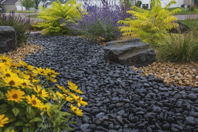 A garden filled with lots of flowers and rocks.