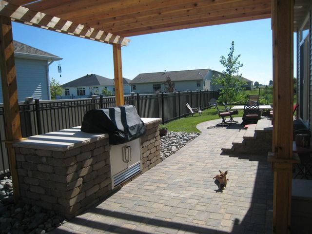A dog standing under a pergola in a backyard