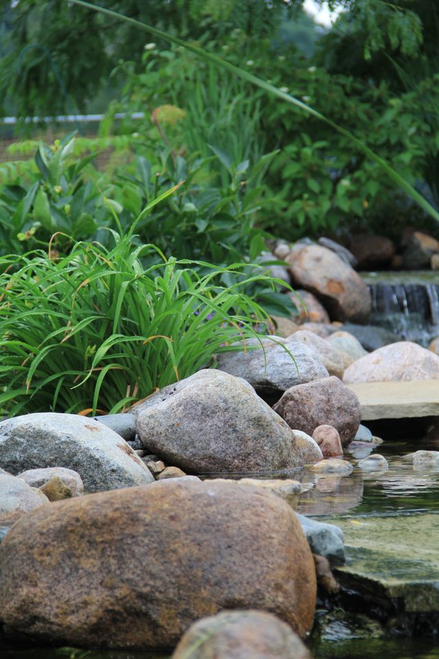 A waterfall is surrounded by rocks and plants in a garden.