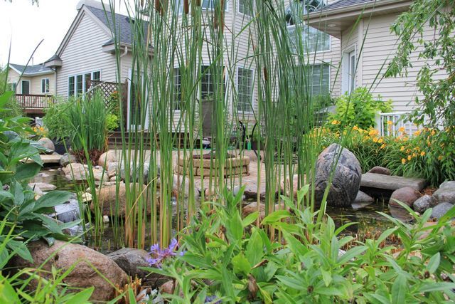 There is a pond in the middle of a garden in front of a house.