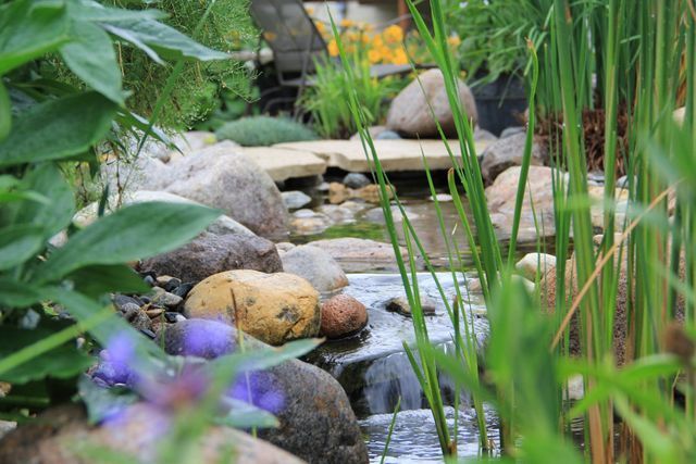 A stream running through a garden surrounded by rocks and plants.