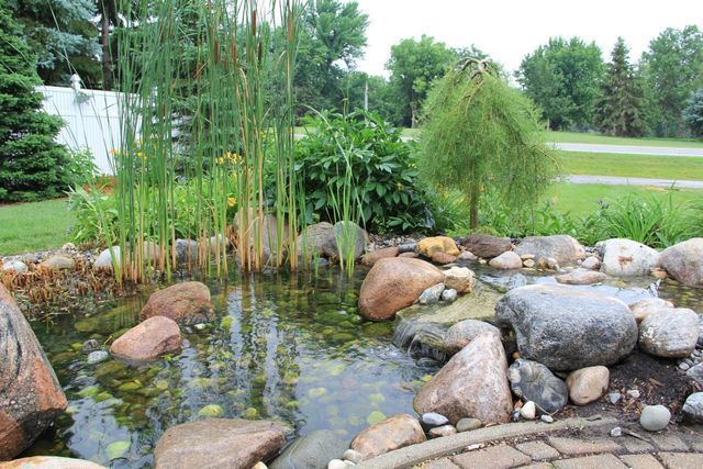A pond surrounded by rocks and plants in a garden