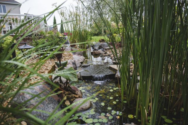 A pond with a waterfall in the middle of a garden surrounded by tall grass.