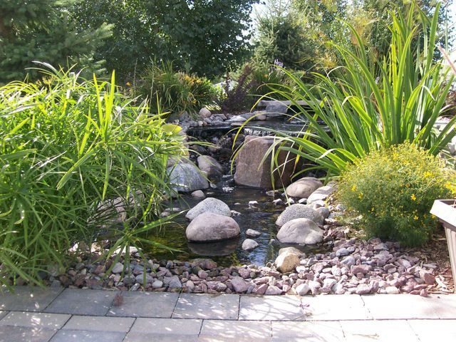 A pond surrounded by rocks and plants with a waterfall in the background