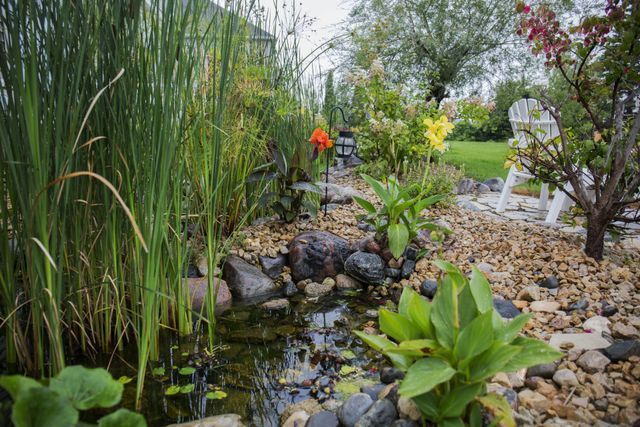 A stream running through a garden surrounded by plants and rocks.