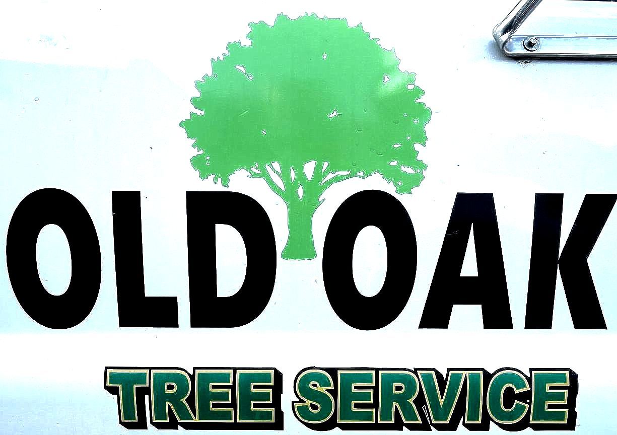 Old Oak Land and Tree - Logo