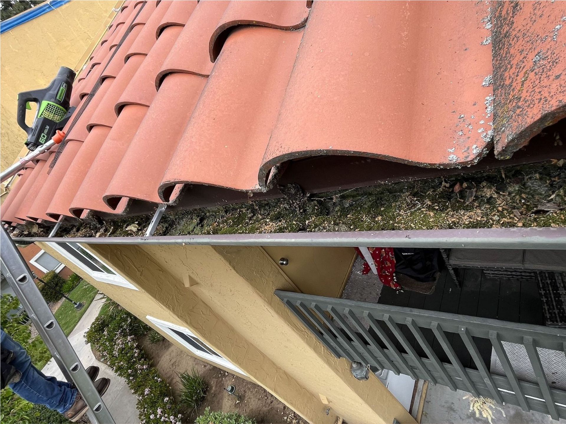 Cleaning a gutter on the side of a house before