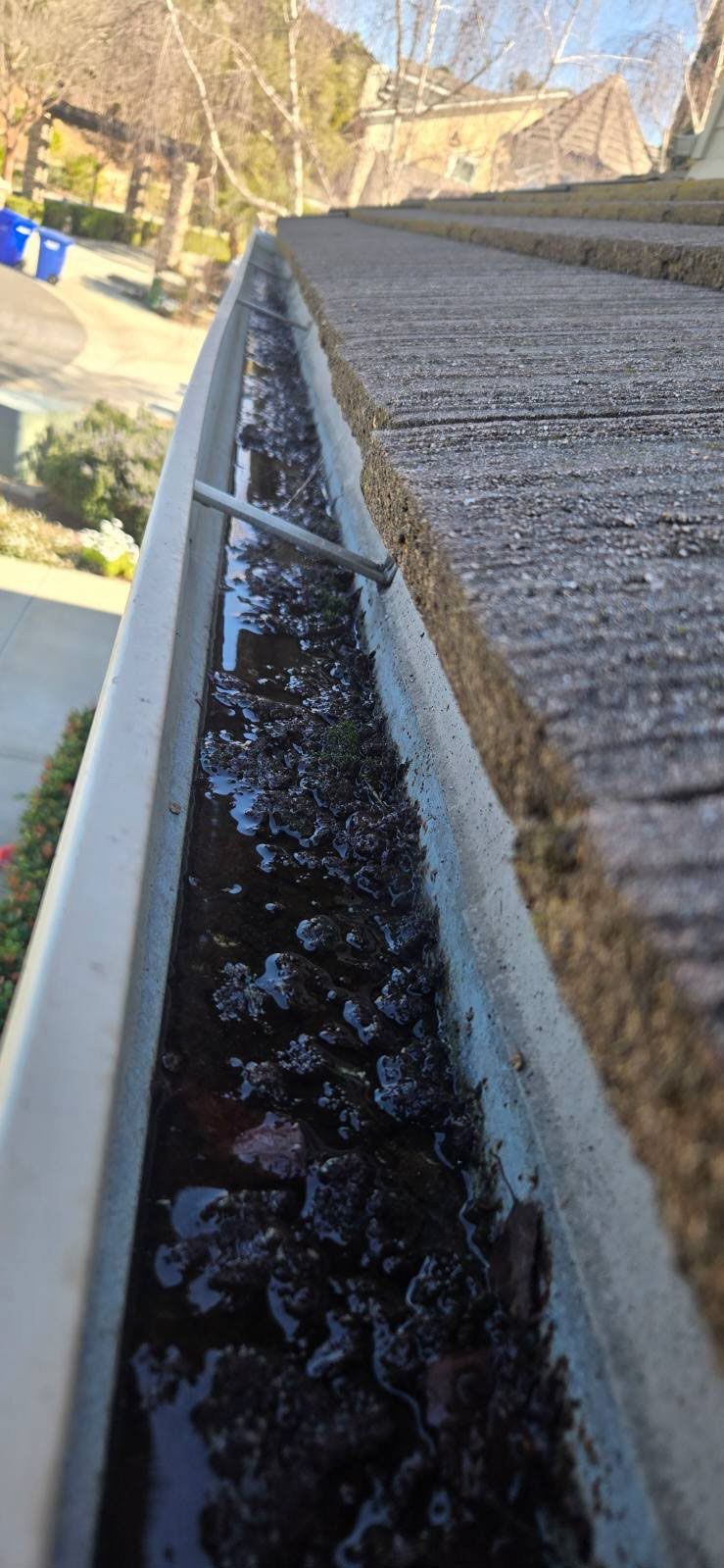Dirty rain gutter filled with debris; view from above. A house is in the background.