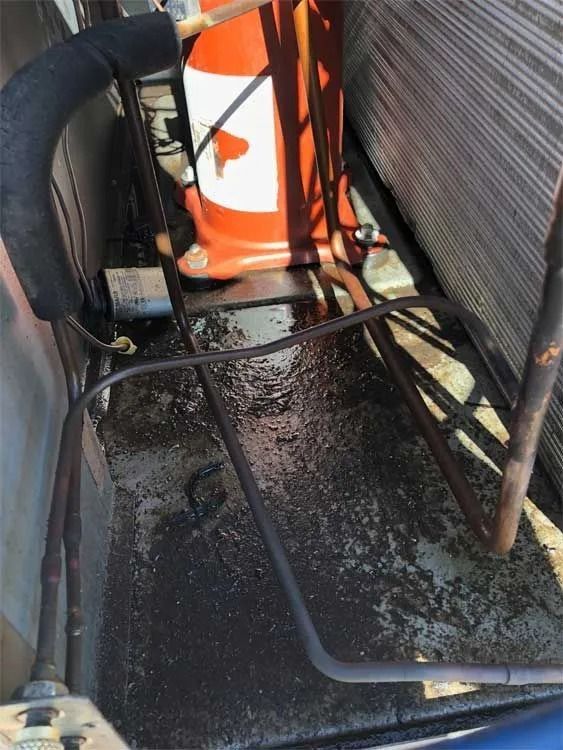 Water pooling inside an outdoor HVAC unit, near copper tubing and an orange component.