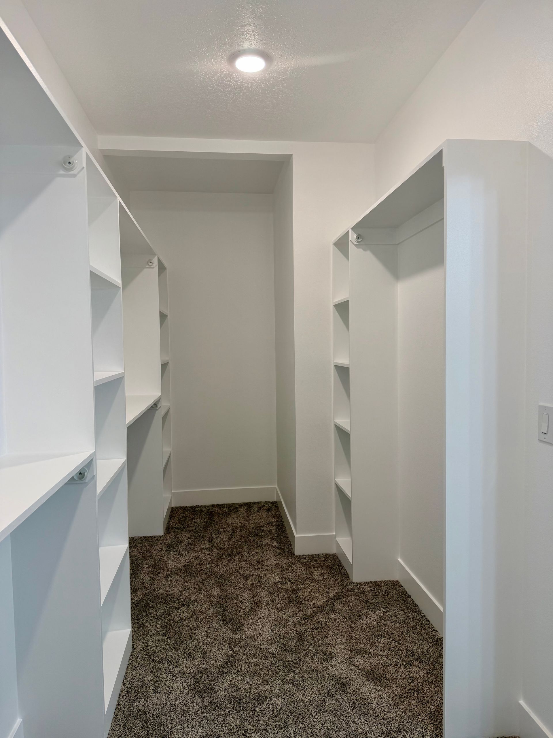 Narrow walk-in closet with white shelving and hanging spaces, carpeted floor, and ceiling light.