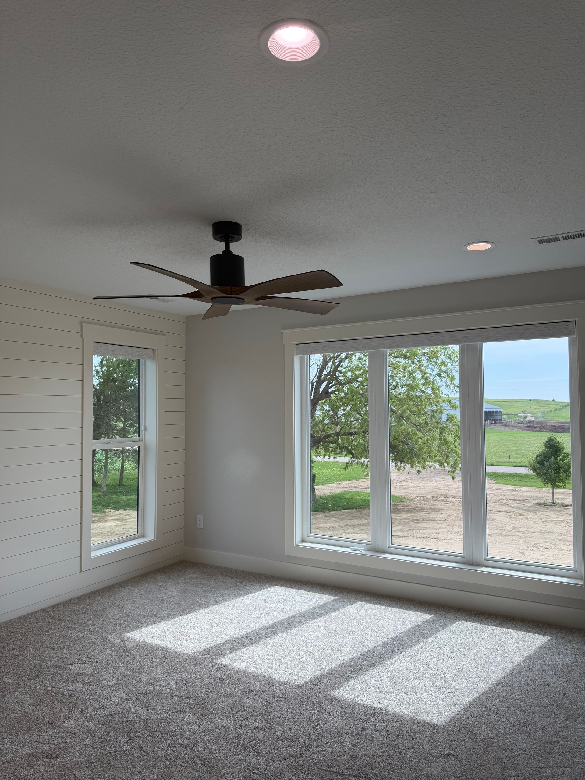 Empty carpeted room with ceiling fan, windows, and sunlight streaming across the floor