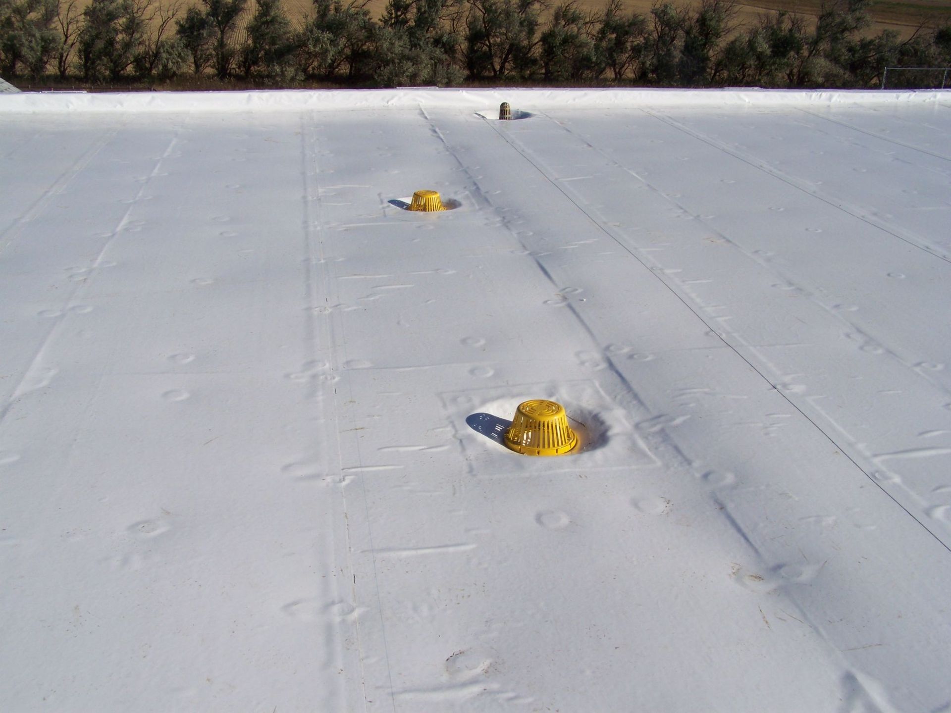 A flat, white commercial roof with several bright yellow circular roof drains and circular fastening points.