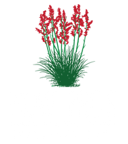 Mow Pro's logo