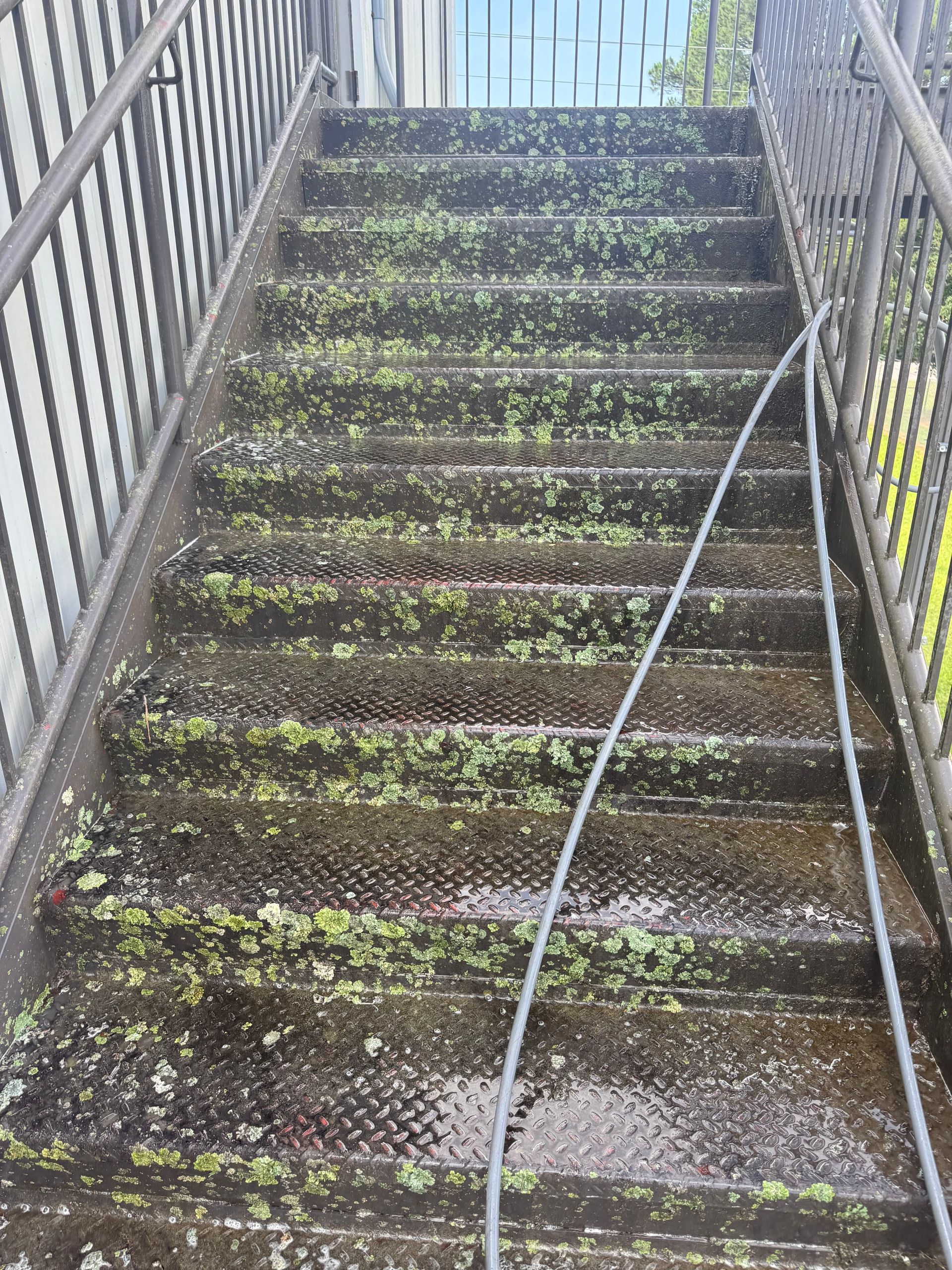 A person is cleaning a set of stairs with a hose.