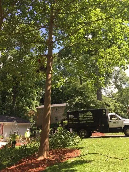 Tree removal crew with truck and workers in a wooded yard beside a house