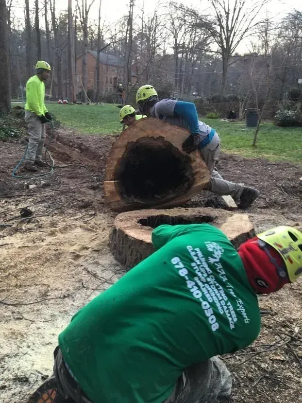 Workers in bright safety gear handling a large cut log in a muddy wooded area