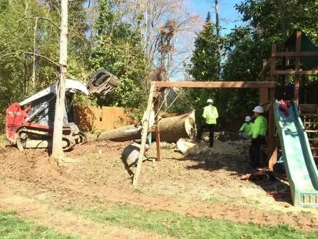 Workers in neon jackets clearing a fallen tree near a red truck and playground slide