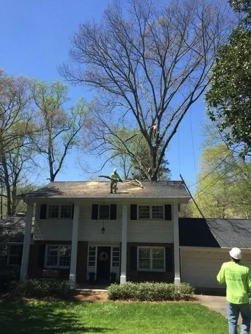 Two-story house with a worker on the roof trimming a tall tree against a blue sky