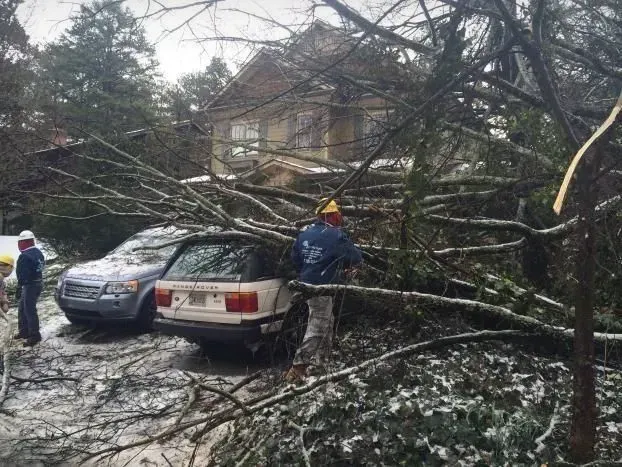 Downed tree blocking parked cars and roadway after a storm, with snow on the ground