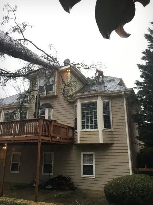 Two-story beige house with a wooden deck, bay window, and leafless tree branches overhead