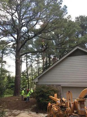 Workers in neon vests beside a house, with a tall tree and wood chipper in the yard