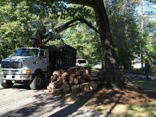 White dump truck loaded with logs beside a roadside pile of cut wood under trees