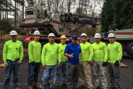 AAA Tree Experts